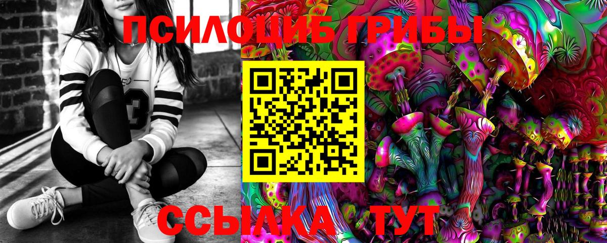 Коркино  Псилоцибиновые грибы Psilocybe  купить закладку  Вход с VPN 